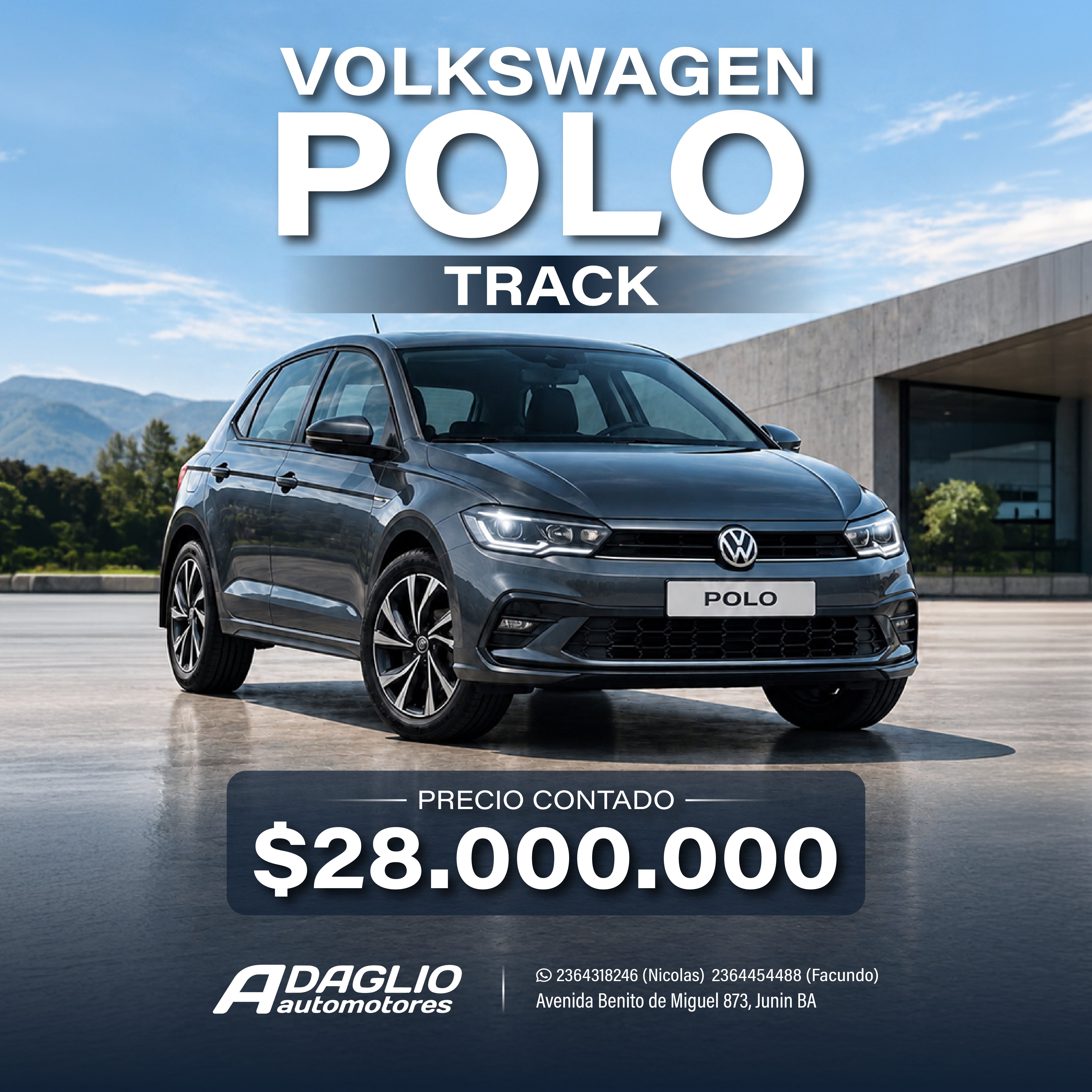 VOLKSWAGEN POLO TRACK